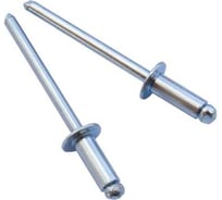 Заклёпка вытяжная Daxmer 3,2x16 мм, сталь/сталь, 700 шт. 00000327943