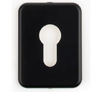 Накладка декоративная AVERS DP-15.mini-C-BLM 32969