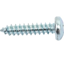 Саморез ZAMETAL 4,2 х 19 с полукруг. гол., крест шлиц, DIN 7981 оц., уп. 500 шт. ZA101531
