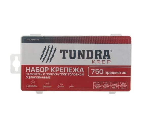 Набор саморезов с полукруглой головкой TUNDRA krep оцинкованных, 750 предметов 2919828