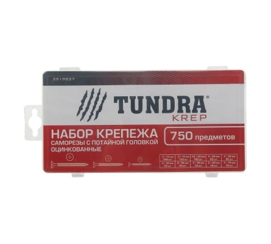 Набор саморезов с потайной головкой TUNDRA krep оцинкованных, 750 предметов 2919827
