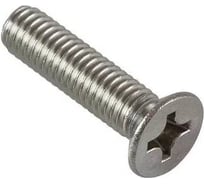 Винт с потайной головкой ВИРТУОЗ 3х20 мм DIN 965, нержавеющая сталь А2, 12 шт. 58878