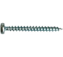Саморез универсальный с полукруглой головкой HIMTEX PZ1 3х16, 500 шт. 30016SCH