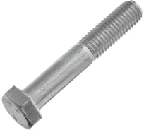 Болт Стройметиз М6х100 мм, DIN 931, кл. пр. 8.8, цинк, уп. 2 шт., европодвес 3291381