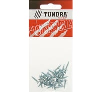 Универсальные саморезы TUNDRA krep 3.5х16 мм, цинк, потай, 30 шт. 1891633