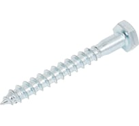 Сантехнический шуруп Госкреп 10x80 4 шт., подвес 3-0011790