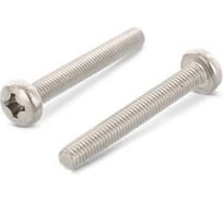 Винт ЦКИ DIN7985 М6x10 Ц 100 шт. 2443109