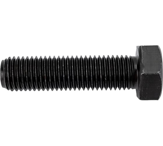 Болт ЦКИ DIN933 М22x100 с шестигранной головкой 10.9 окс, SW 32 1 шт. 3989819 1