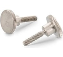 Винт ЦКИ DIN464 М4x12 A1 2 шт. 43087