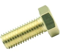 Болт ЦКИ DIN933 М6x10 с шестигранной головкой лат. SW 10 10 шт. 11608