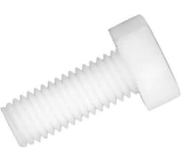 Болт ЦКИ DIN933 М6x20 с шестигранной головкой ПОЛИАМИД SW 10 10 шт. 1913619