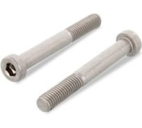 Винт ЦКИ DIN6912 М6x60 8.8 Ц 2 шт. 3800719
