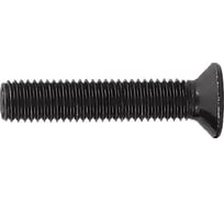 Винт ЦКИ ~DIN965 М3x10 ЧЕРНЫЙ RAL9005 Ц 25 шт. 5984019