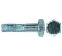 Болт ЦКИ ГОСТ 7796-70, М10x25, 8.8, Ц, 10 шт 5912619