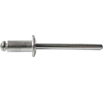 Заклепка вытяжная Евразия Al/St 4.8x10 мм, 250 шт 4687205424426