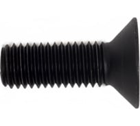 Винт потайной 23 Болта под шестигранник 14x40 DIN7991 к.п. 10.9, 4 шт. П0000024867