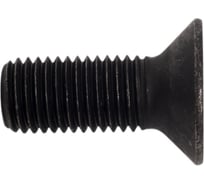 Винт потайной 23 Болта под шестигранник 16x40 DIN7991 к.п. 10.9, 4шт. 13177