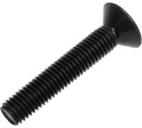 Винт потайной 23 Болта под шестигранник 12x65 DIN7991 к.п. 10.9,10 шт. впш1265прф