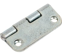 Петля карточная 23 Болта 30x40 мм, мебельная, дверная, ОЦ, 2 шт. 2036ф2