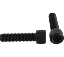 Винт ЦКИ DIN912 М10x22 10.9 окс HEX 8 2 шт. 7804019