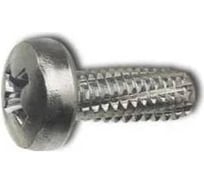 Винт резьбонарезающий ЦКИ DIN7516A М4x10 цинк Ph 2 25 шт. 2339619