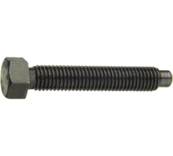 Винт установочный ЦКИ DIN561B М10x30 8.8/22H цинк SW 13 2 шт. 2102419 1