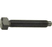Винт установочный ЦКИ DIN561B М10x25 8.8/22H цинк SW 13 2 шт. 4435519
