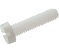 Винт ЦКИ DIN84, М3x10, полиамид, SL 5.0x0.8, 5 шт 4027919