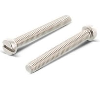 Винт ЦКИ DIN84, М10x20, Ц, SL 14x2.5, 2 шт 7118109