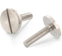 Винт ЦКИ DIN921, М6x16, Ц, 2 шт 4578019