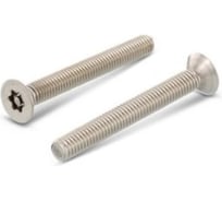 Винт антивандальный ЦКИ ART.9123/88117, М3x6, A2, TX TR 10, DIN7991, 2 шт 8144419