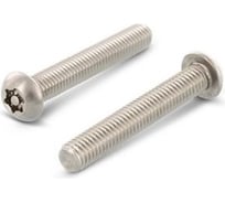 Винт антивандальный ЦКИ ART.9121/88116, М6x40, A2, TX TR 30, ISO7380, 10 шт 46930