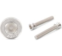 Винт антивандальный отрывной ЦКИ ART.9155, М8x50, A2, SW 6, 1 шт 8100419