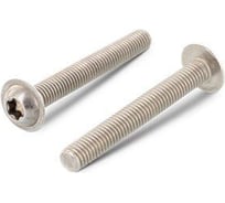 Винт ЦКИ ISO7380, М3x25, A2, TX 10, 50 шт 35984