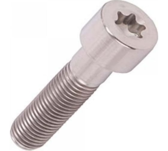 Винт ЦКИ ISO14580, М2x4, A2, TX 6 30 шт 53978 1