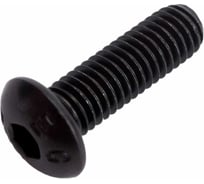 Винт ЦКИ ISO7380, М2x6, 10.9, ОКС, 2 шт 8430019