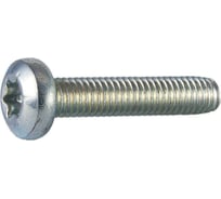 Винт резьбовыдавливающий ЦКИ DIN7500C, М3x12, Ц, TX 10, 25 шт 6641419