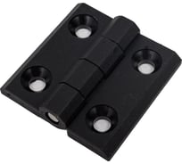 Петля шарнирная накладная универсальная EMES 2 шт PM50X50.2