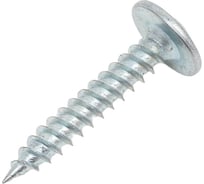 Саморез с прессшайбой Русский Саморез 4,2x25 мм, острый, 0,5 кг psho25500