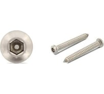 Саморез антивандальный ЦКИ art.9110 4.2x19 A2 HEX TR 25 шт. 51430