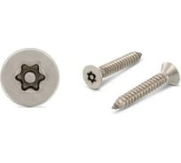 Саморез антивандальный ЦКИ art.9122 4.2x38 A2 TX TR 5 шт. 8058519