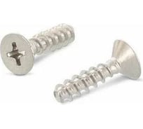 Саморез для пластика потайной притупленный ЦКИ art.9090 3x10 A2 Ph1 50 шт. 51258