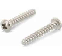 Саморез для пластика скругленный притупленный ЦКИ art.9091 3x10 A2 Ph 1.0 25 шт. 47209