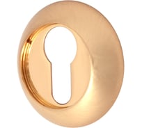 Накладка под ключ Vilardi цвет STG/GP 4680275001733