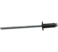 Заклепка тяговая ЦКИ Ал-Mg3.5/Ст плоская 3.2x12 черный RAL 9005,гильза+фланец BRALO 10 шт. 8327219