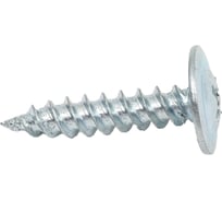 Саморез Tech-Krep ШСММ 4,2х19 5 кг коробка 132422