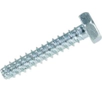 Саморез ЦКИ DIN7976 6.3x25 мм, притупленный, Ц, SW 8, 5 шт. 8425519