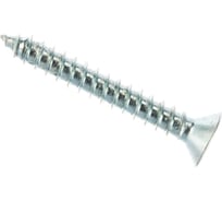 Саморез ЦКИ DIN7982 3.9x19 мм, остроконечный, TORX, Ц, 25 шт. 4839219
