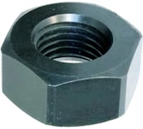 Гайка ЦКИ ГОСТ32484.3 M20, 10, ХЛ, 2 шт. 7729419