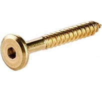 Мебельный шуруп ЦКИ 6.3x60 мм, латунир., HEX 4, 10 шт. 43909